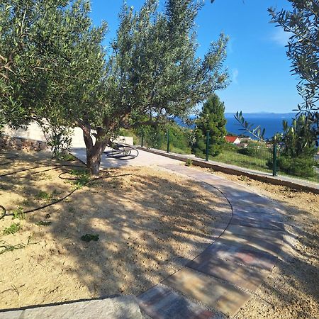 Holiday Home Vineyard House Бол Екстер'єр фото