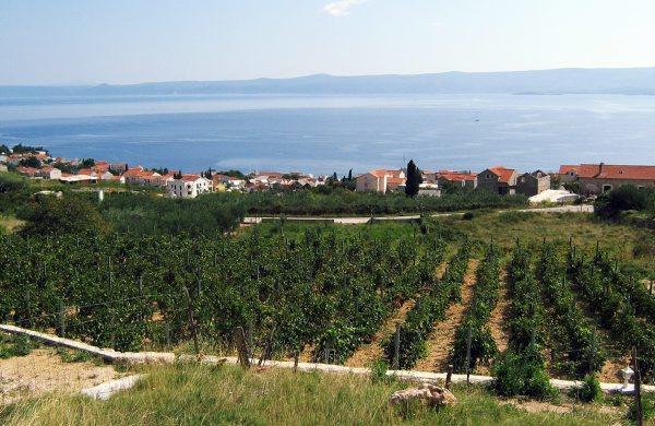 Holiday Home Vineyard House Бол Екстер'єр фото