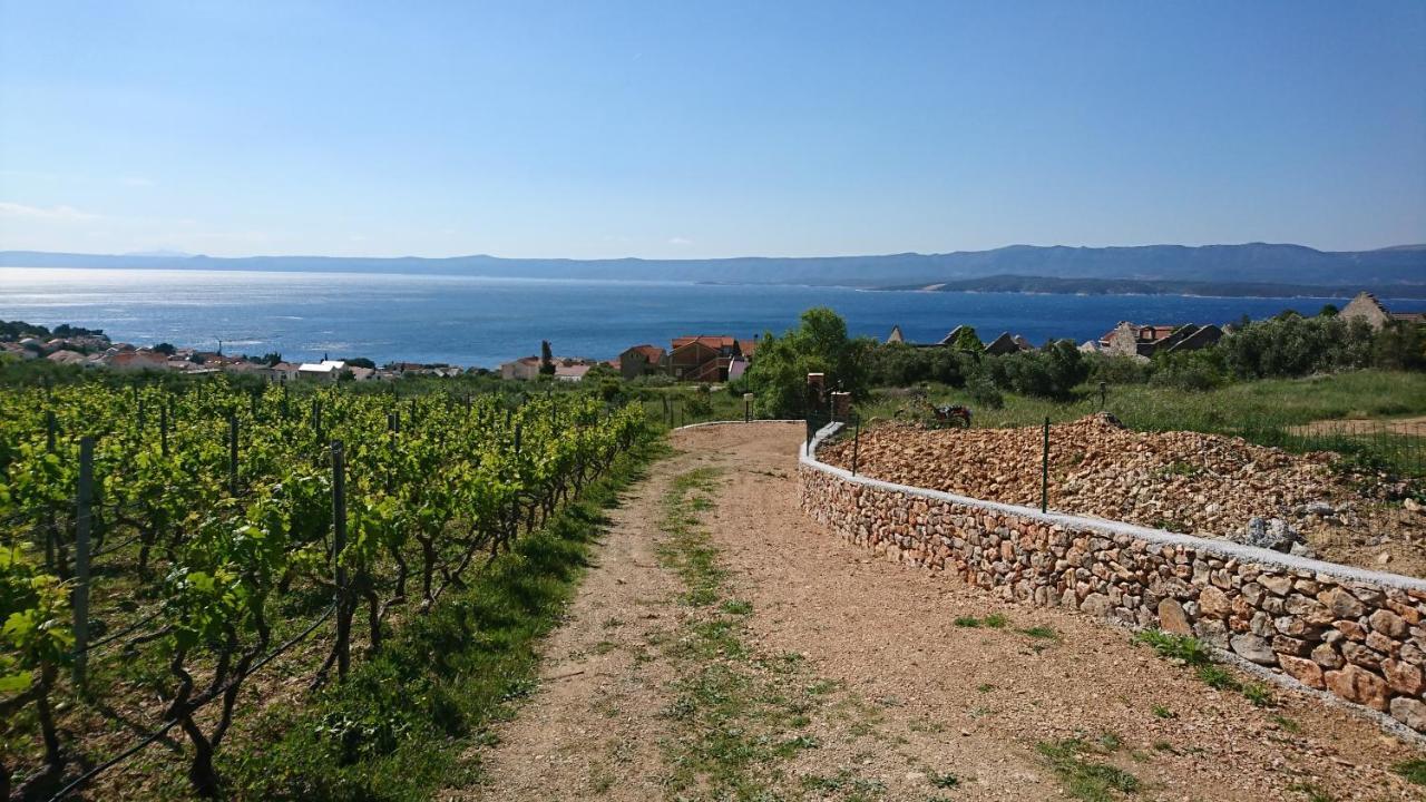 Holiday Home Vineyard House Бол Екстер'єр фото